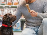 Marketing Para Pet Shop — 5 Ações Para O Seu Negócio