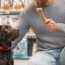 Marketing Para Pet Shop — 5 Ações Para O Seu Negócio