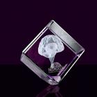 Peça em Cristal Óptico 100% translúcida neurociencia - 1531081