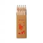 Caixa de lápis de cor personalizada - 1750970