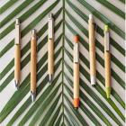 Caneta bambu - várias cores - 1491649
