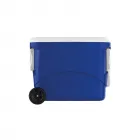 Cooler Térmico Personalizado Tr - 2196639