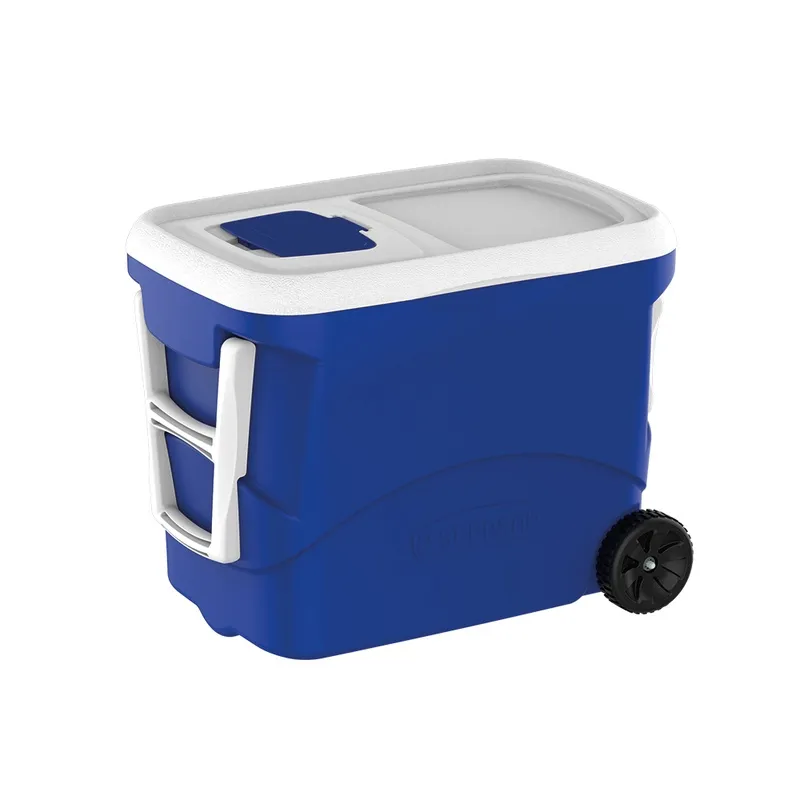 Cooler Térmico Personalizado Tr - 2196640