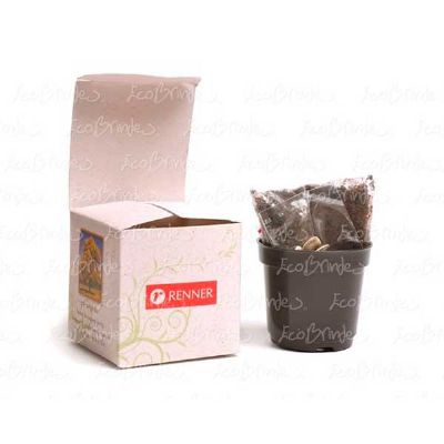 Ecobox pp cubo