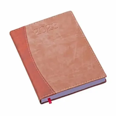 Agenda diária 2023 de sintético