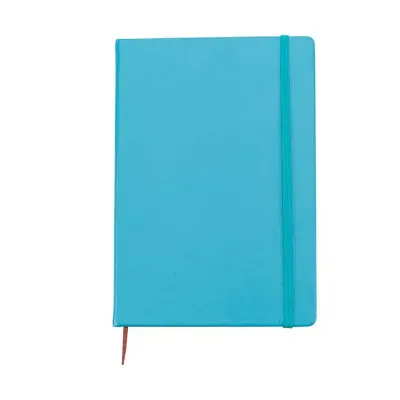 Caderneta azul de Sintético