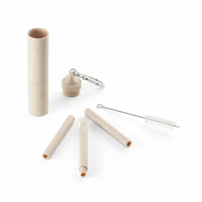 Conjunto de canudo em fibra de bambu e escov