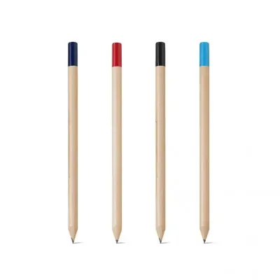 Lápis em várias cores