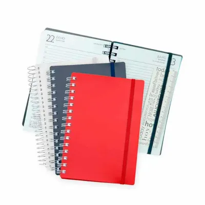 Agenda Diária 2023