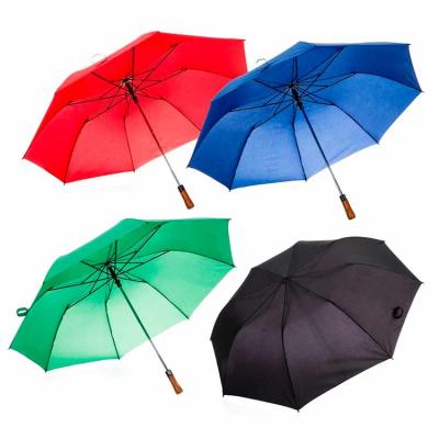 Guarda-chuva - Cores - 1726886