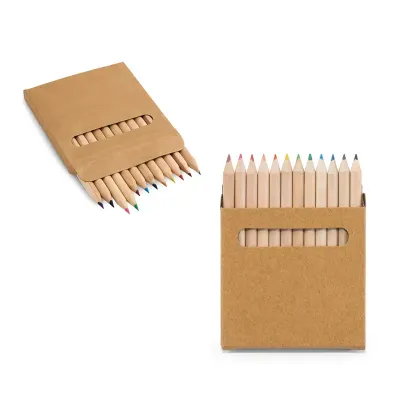 Caixa de cartão com 12 lápis de cor