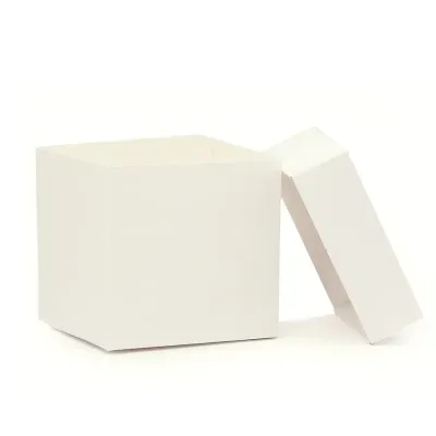 Caixa de Papel Triplex Branco - 1785225