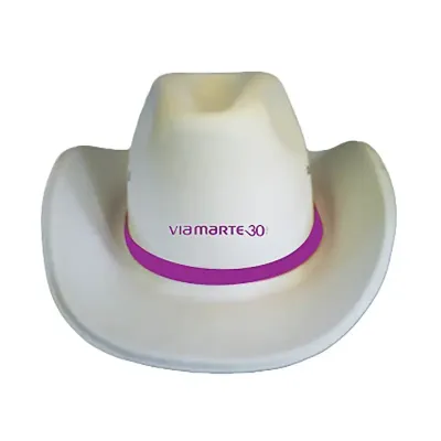 Chapéu cowboy 