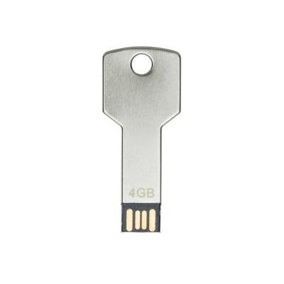 Pen Drive Chave 4GB/8GB 1