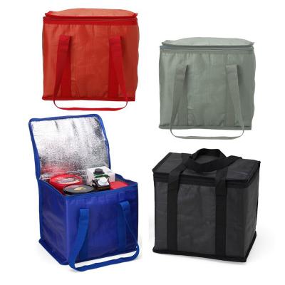 Bolsa Térmica 12 Litros