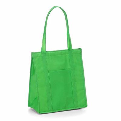Sacola TNT Térmica 18 Litros verde